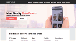 Desktop Screenshot of mintboys.com