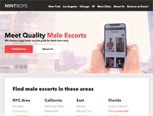 Tablet Screenshot of mintboys.com